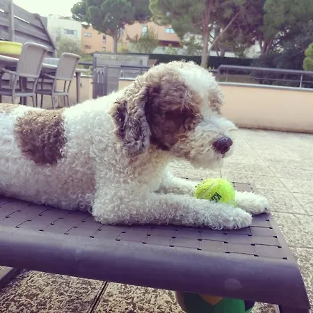 Sa Boadella Beach, - Costa Brava *