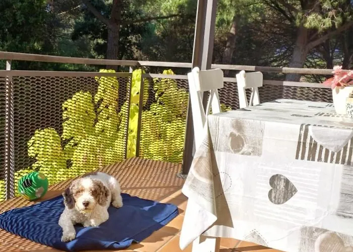 Sa Boadella Beach, - Costa Brava Apartamento