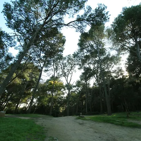 Sa Boadella Beach, - Costa Brava * 료렛 드 마르