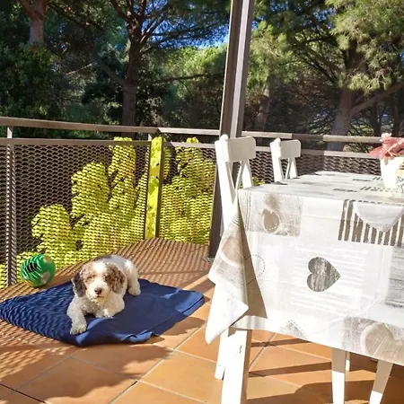 Sa Boadella Beach, - Costa Brava Apartamento