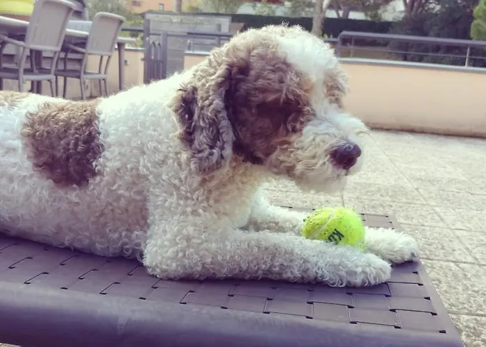 Sa Boadella Beach, - Costa Brava *